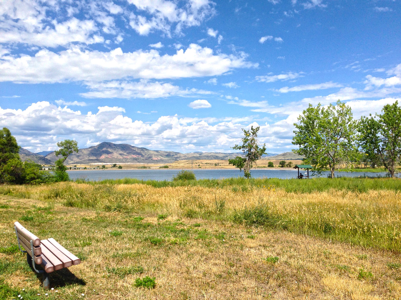 A park bench overlooks native grasses, a lake and mountains.