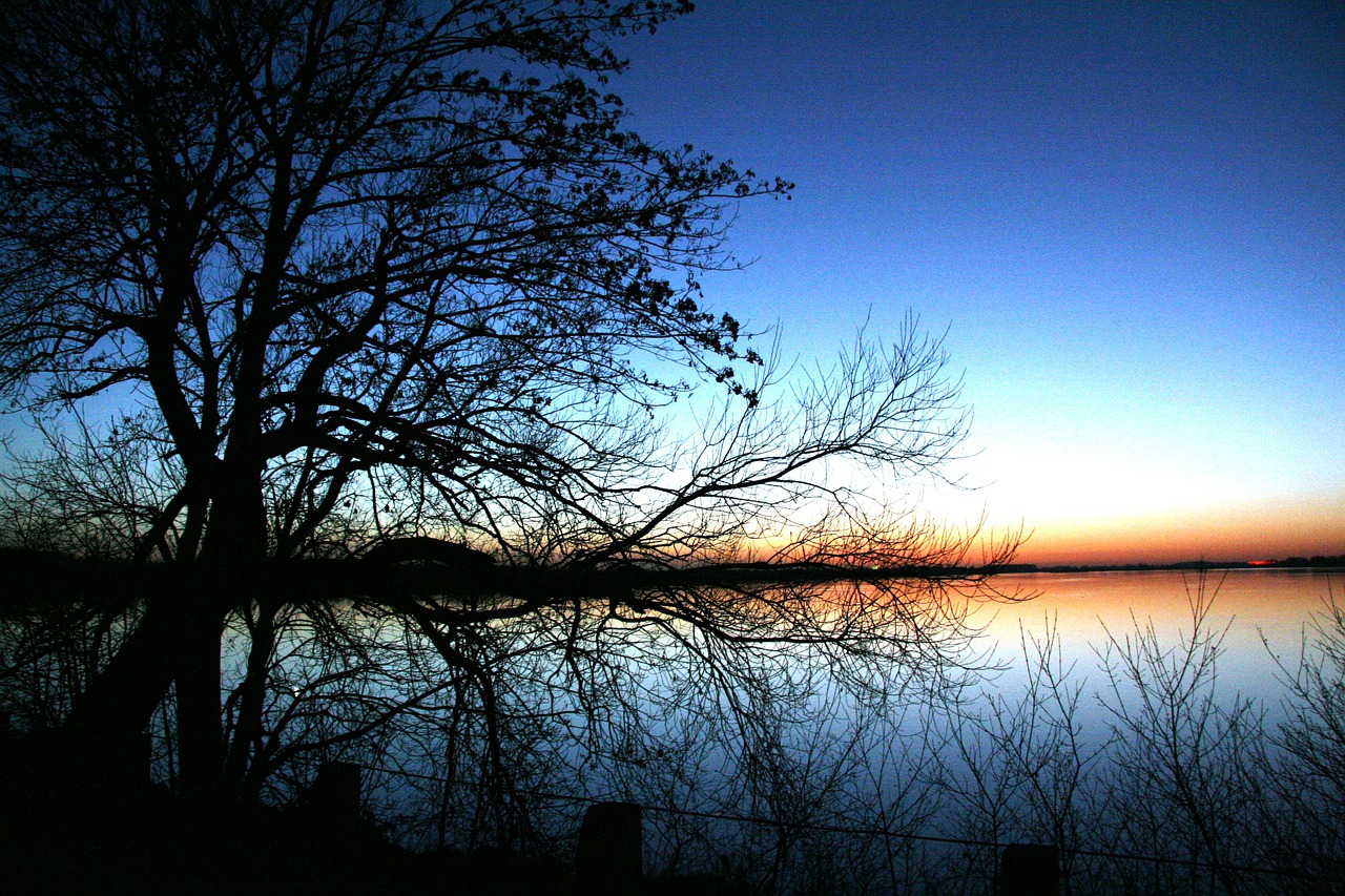 Park at sunset