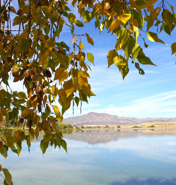 Scenic image of fall leaves in the foreground and Harriman Lake and mountains in the background