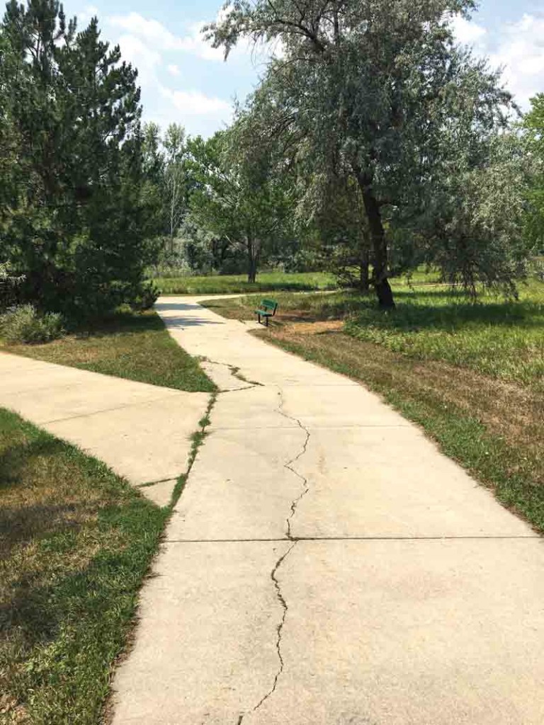 Image of cracked sidewalks.