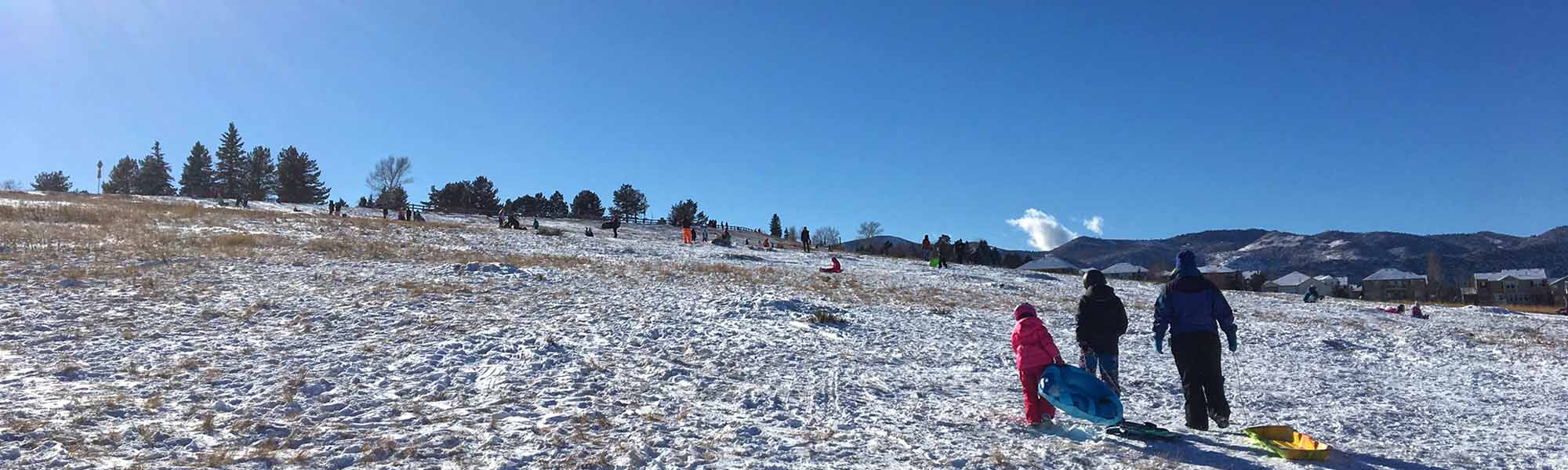 Families sledding down a snowy hill.