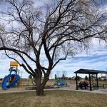 Playground and park shelter at Christensen Meadows Park