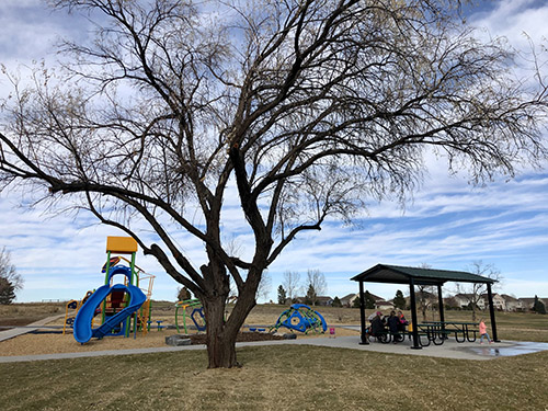 Playground and park shelter at Christensen Meadows Park