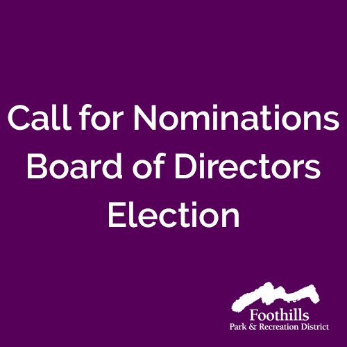 Call for Nominations, Board of Directors Election.