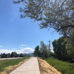 View of the Columbine Trail on a sunny, blue sky day.