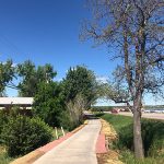 View of the Columbine Trail on a sunny, blue sky day.