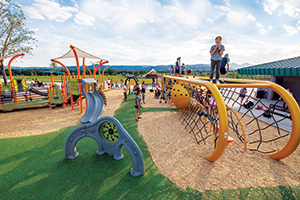 Children playing on different play features at the Inclusive Playground in Clement Park