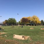 Horseshoe Pits in Clement Park