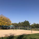 Sand Volleyball, Clement Park