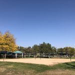 Sand Volleyball, Clement Park