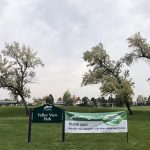 Street view of park featuring park sign, large trees and lots of green grass in Valley View Park.