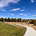 New cement sidewalk meandering through a grassy park.