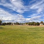 Green grass in a neighborhood park with blue skies and clouds overhead.