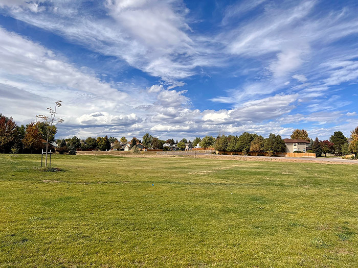 Green grass in a neighborhood park with blue skies and clouds overhead.