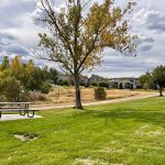 A picnic table on a cement pad near a large tree and open space that sit alongside a natural pathway.