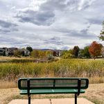 A park bench with a scenic view of natural grasses, open space and mountain views.