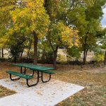 Picnic table on a cement pad off the side of a sidewalk near large trees that have fall colors.