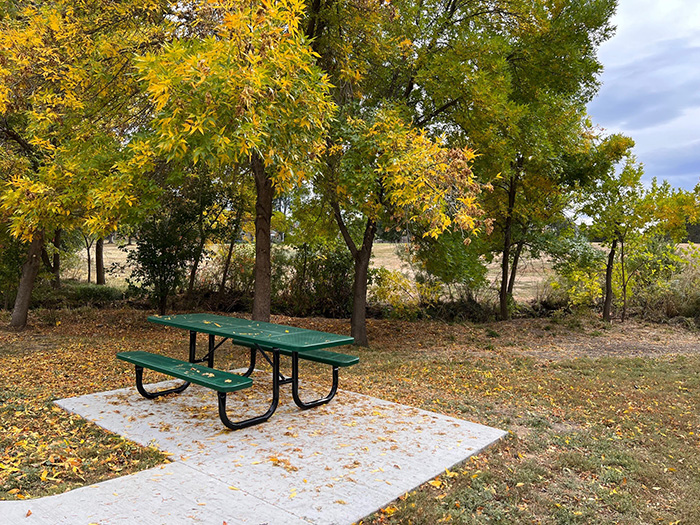 Picnic table on a cement pad off the side of a sidewalk near large trees that have fall colors.