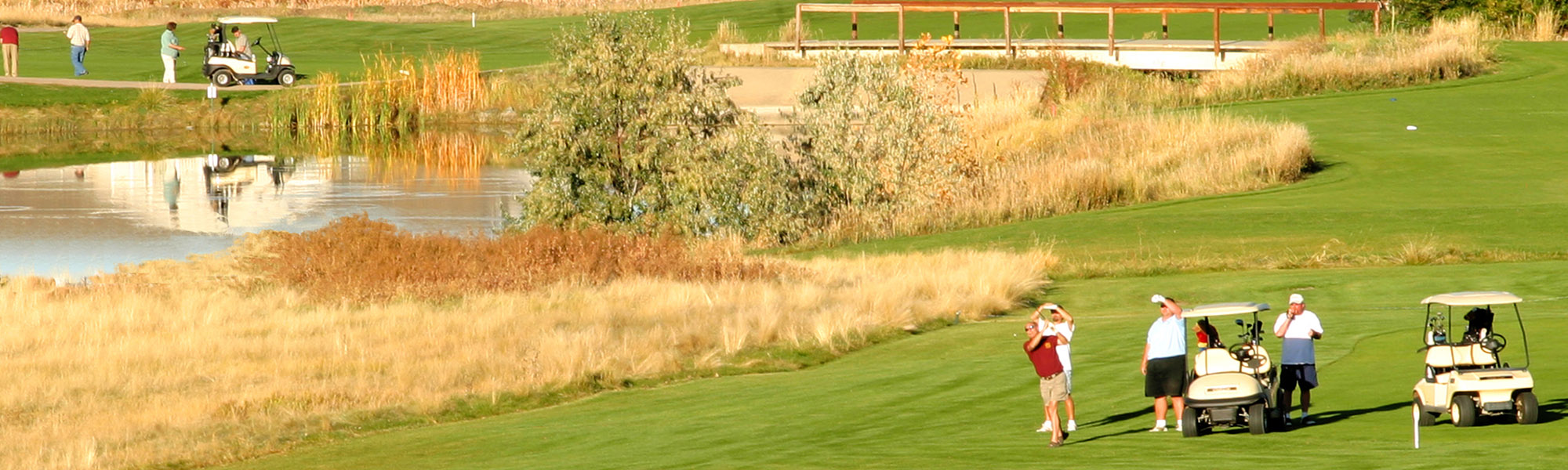 Golfers on a fairway