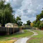 Irrigation running to water green spaces flanking a meandering sidewalk.