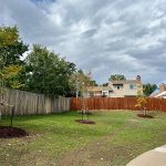 New trees planted in Victory Park along a sidewalk.