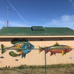 The side of a shed painted with a realistic looking cutthroat trout and blue gill fish