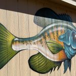 The side of a shed painted with a realistic looking blue gill fish