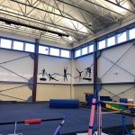 Artwork of 5 gymnast silhouettes with a colorful ribbon running across their bodies