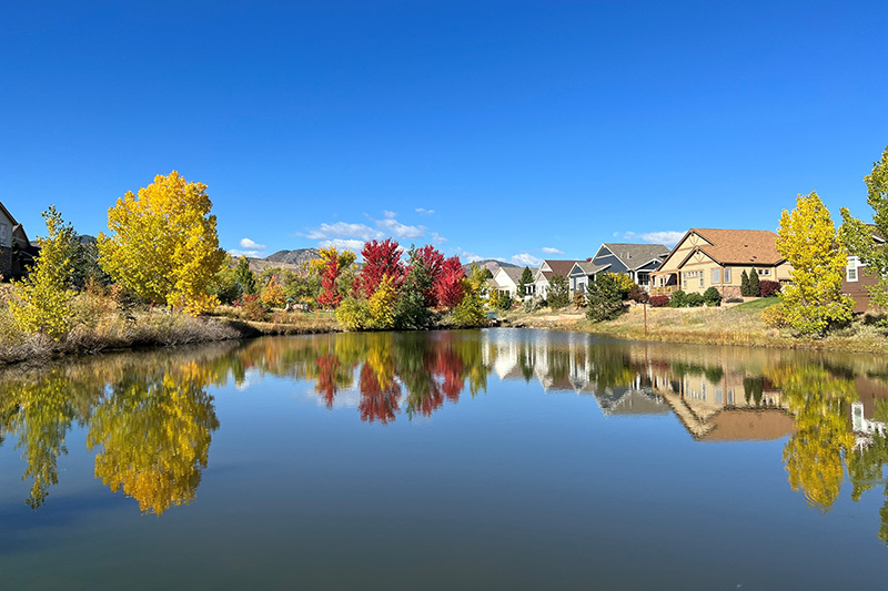 Scenic shot of Dancing Willows Park in fall with beautiful turning trees, and pond with reflective features.