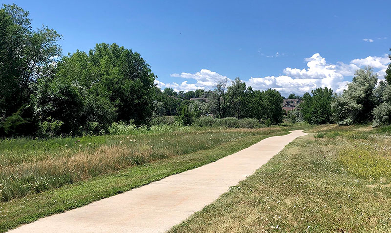 Field of native grasses and trees flank a meandering trail