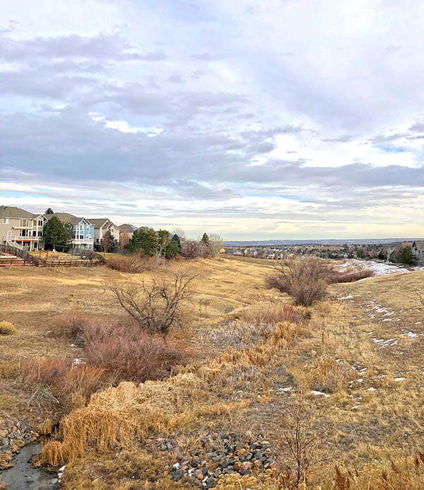 A greenbelt during winter with native grasses, trees and a creek