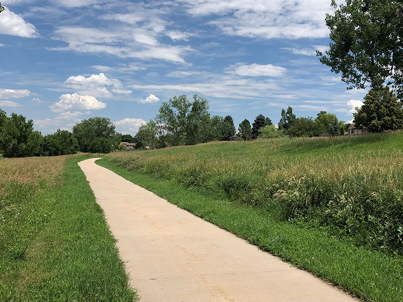 A field of native grasses and trees flank a trail