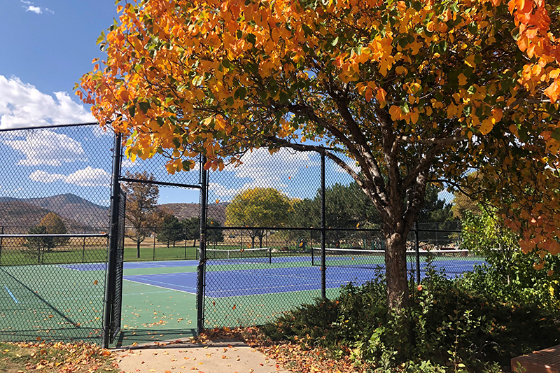 Tennis courts in Easton Regional Park during fall with beautiful fall leaves on a tree near the court entry and mountain views in the background