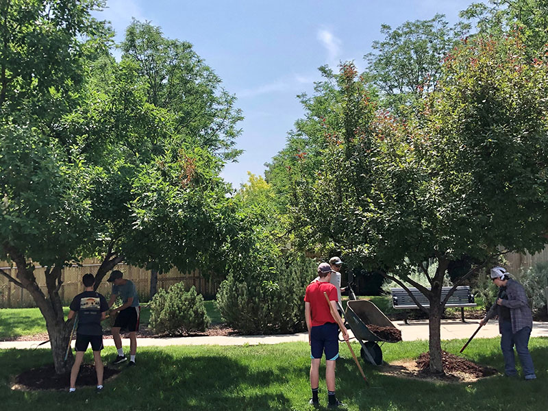 Volunteers working to add mulch to trees that run alongside a cement trail