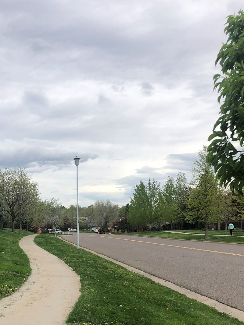 A main road running through a neighborhood with grass and trails on both sides