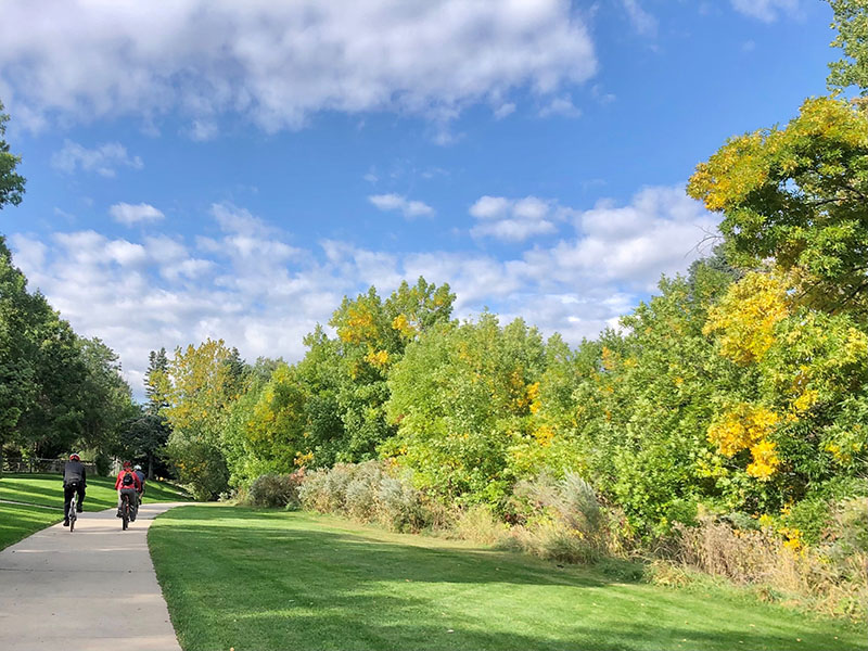 Grass and large trees line a cement trail with three people riding their bikes