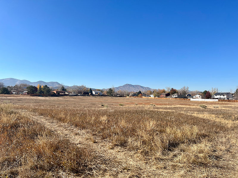 A native field with mountain views