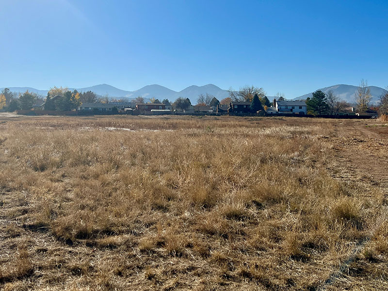 A native field with mountain views