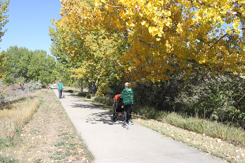 A cement trail with native grasses and large trees on both sides with a woman pushing a stroller and a man walking a dog