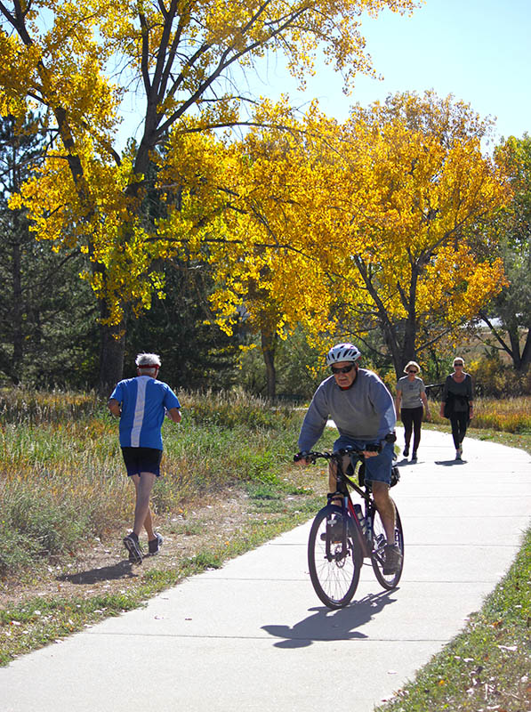 A cement trail with native grassy areas on both sides and large trees with turning fall leaves being used by a bike rider, a runner and two people walking