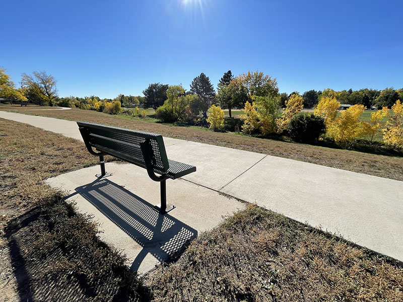 A park bench situated off of a cement trail overlooking a grove of tress during fall showing colorful leaves