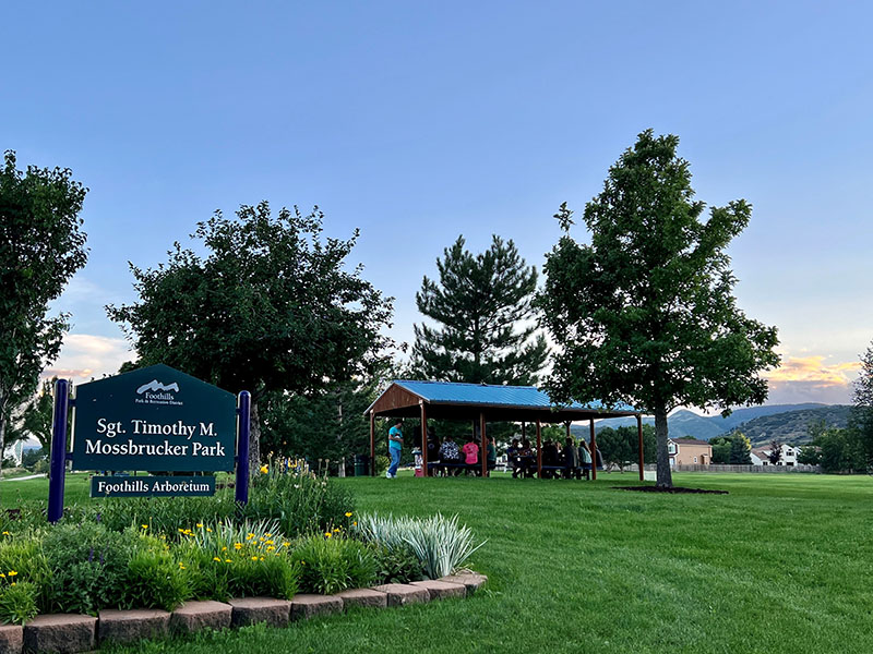 A portion of the park showing the entry sign, green grass and a picnic shelter with mountain views