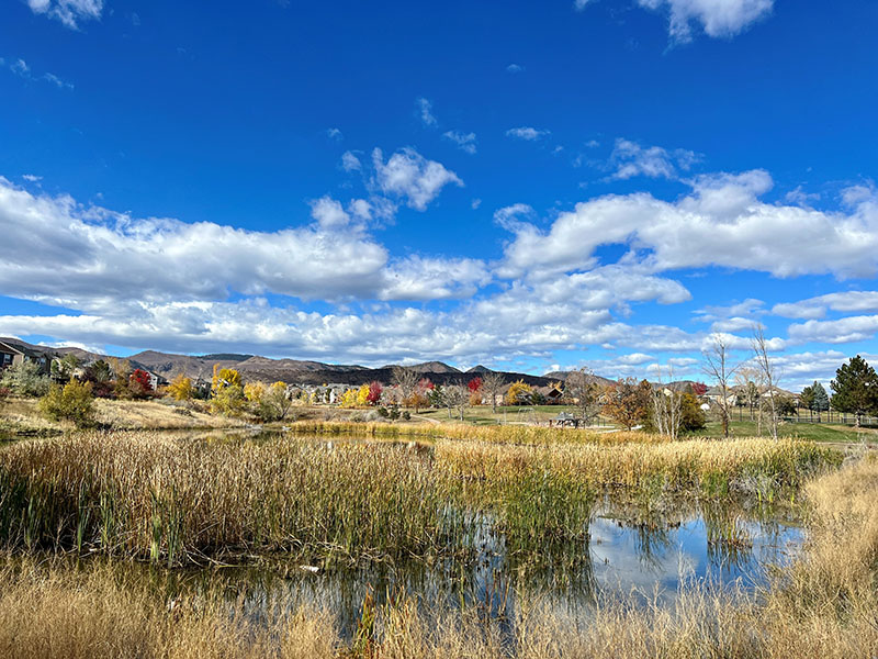 A scenic view of a pond with native grasses and mountain views
