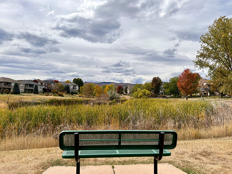 A bark bench overlooking a scenic view of a pond with native grasses and mountain views
