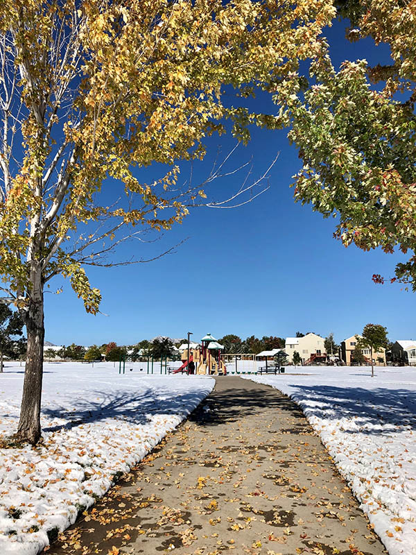 Sidewalk view leading to the playground after a fresh snowfall