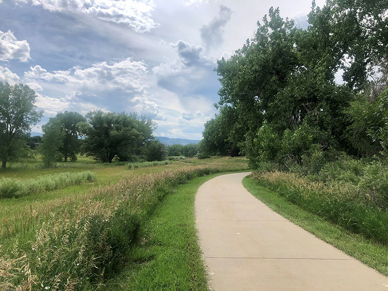 A cement trail with native grasses and trees on both sides of the trail