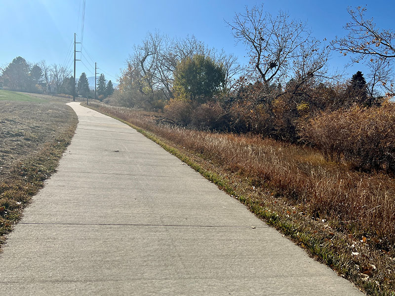 A cement trail with native grasses and trees on both sides of the trail