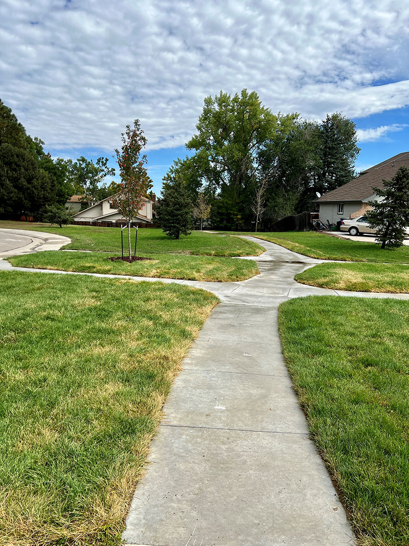 A cement trail in a neighborhood with cement sidewalks intersecting