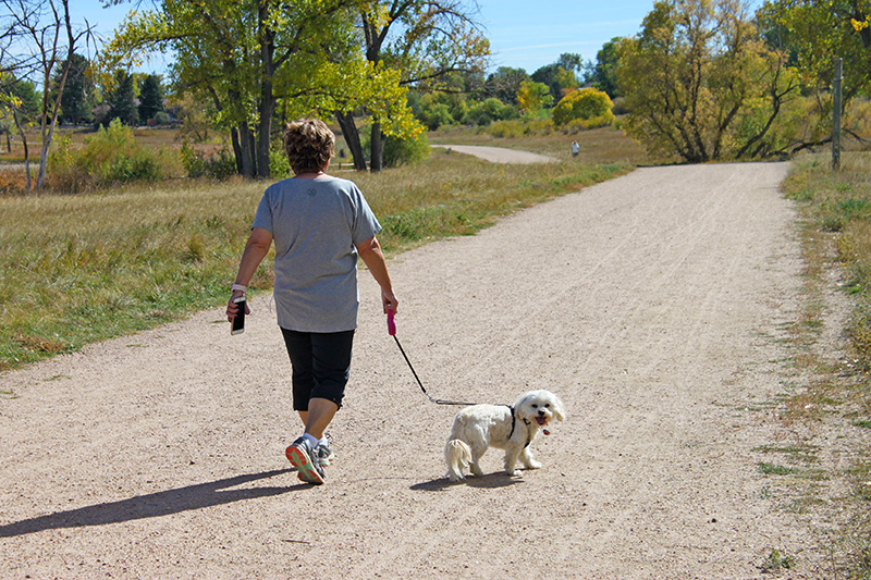 A woman walking a dog on leash on a natural trail in Harriman Lake Park