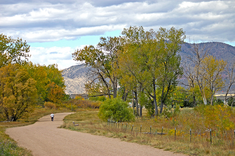 A person walking on a wide natural trail with large trees and mountains in the background